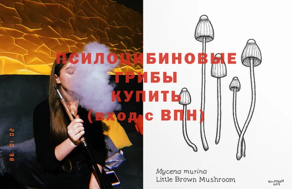 МДПВ Семёнов