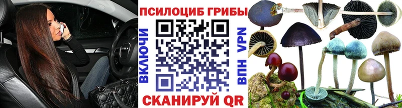 Галлюциногенные грибы Psilocybe  Шилка 